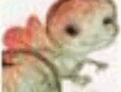 Kevinpiery