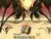 Timothysal