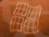 Invillbog